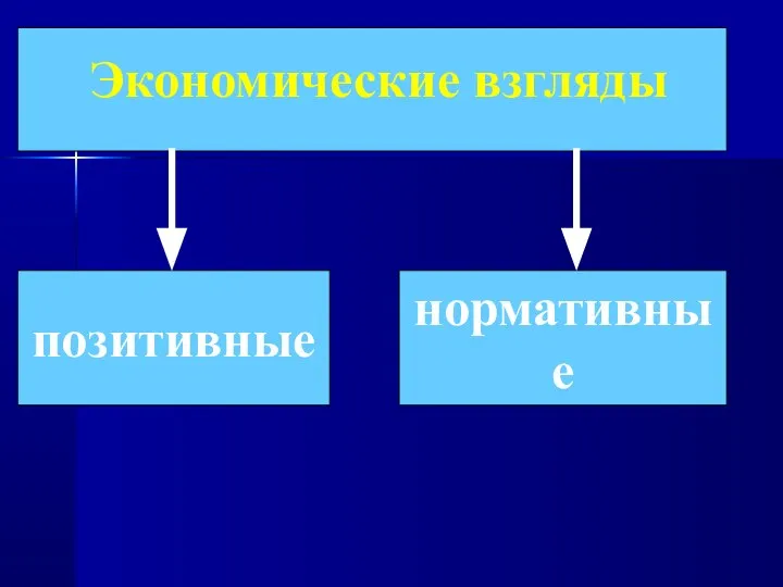 Экономические взгляды позитивные нормативные