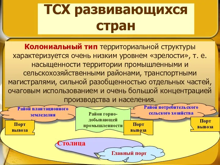 ТСХ развивающихся стран Колониальный тип территориальной структуры характеризуется очень низким уровнем