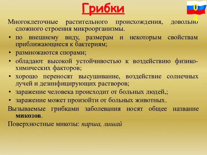 Многоклеточные растительного происхождения, довольно сложного строения микроорганизмы. по внешнему виду, размерам