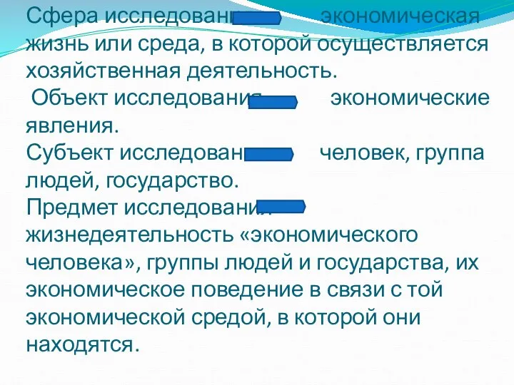 Сфера исследования экономическая жизнь или среда, в которой осуществляется хозяйственная деятельность.