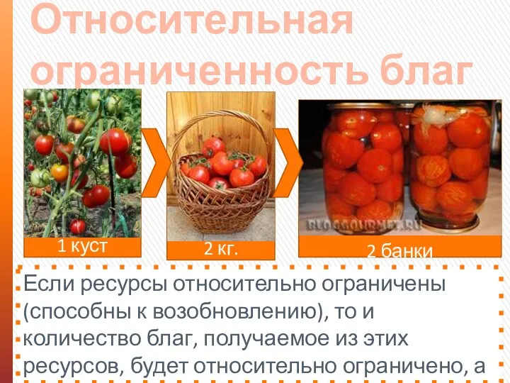 2 банки 1 куст 2 кг. Относительная ограниченность благ Если ресурсы