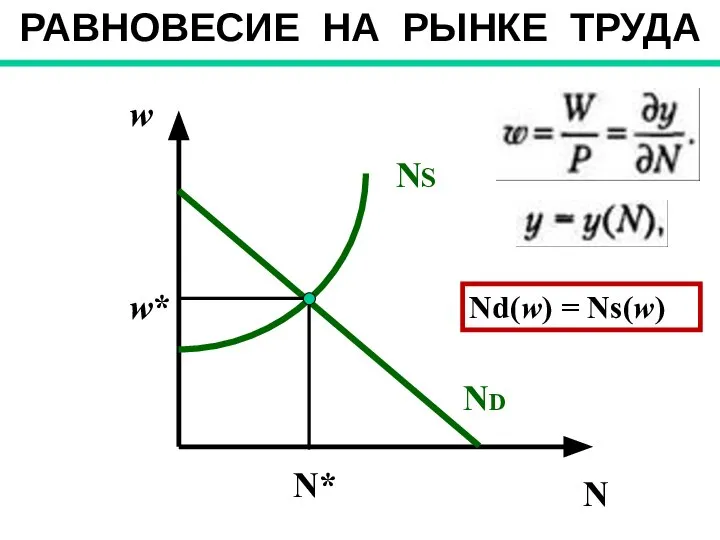 N РАВНОВЕСИЕ НА РЫНКЕ ТРУДА Nd(w) = Ns(w)