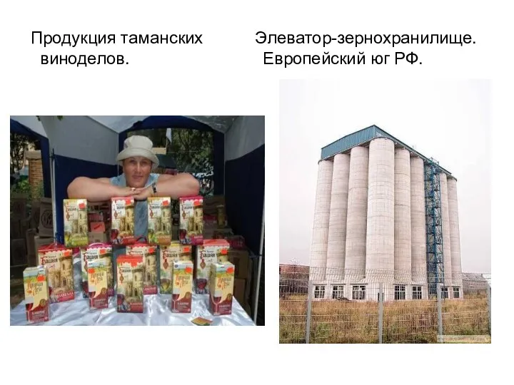 Продукция таманских Элеватор-зернохранилище. виноделов. Европейский юг РФ.