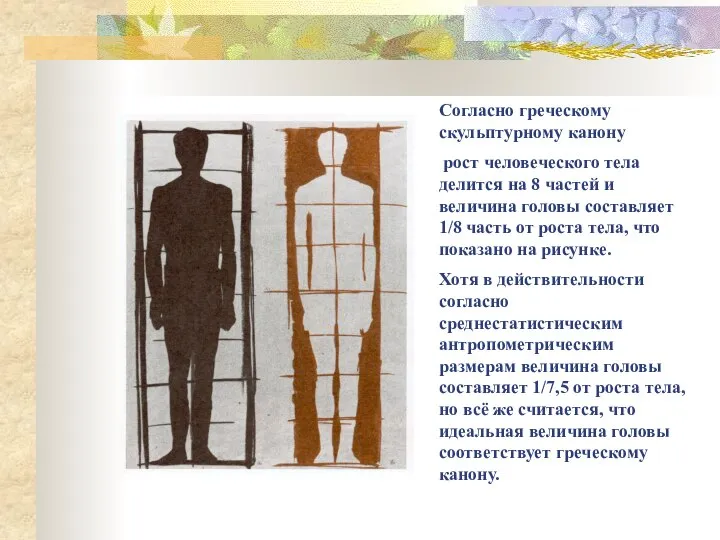 Согласно греческому скульптурному канону рост человеческого тела делится на 8 частей