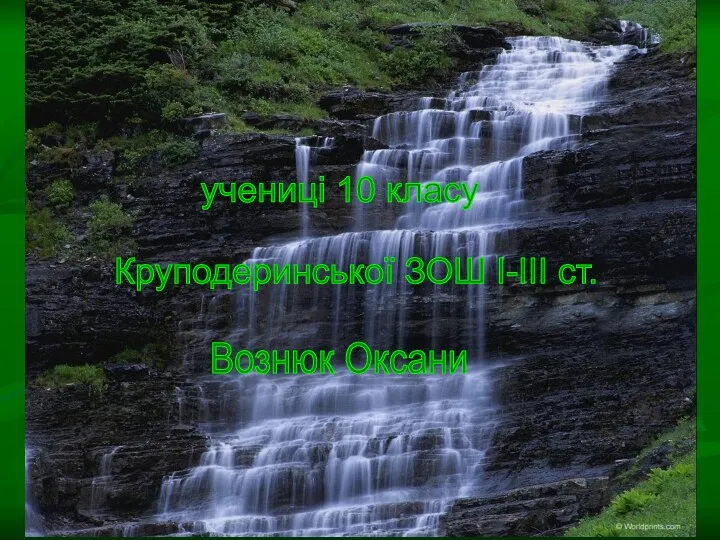 учениці 10 класу Круподеринської ЗОШ І-ІІІ ст. Вознюк Оксани