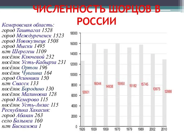 ЧИСЛЕННОСТЬ ШОРЦОВ В РОССИИ Кемеровская область: город Таштагол 1528 город Междуреченск