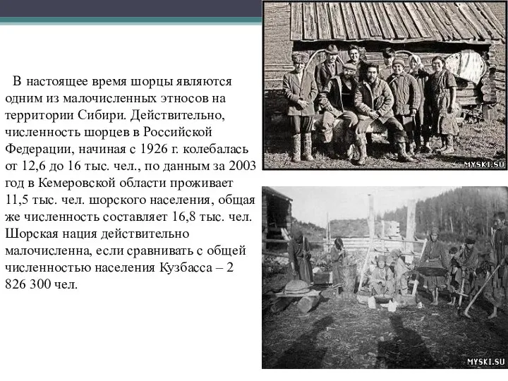 В настоящее время шорцы являются одним из малочисленных этносов на территории