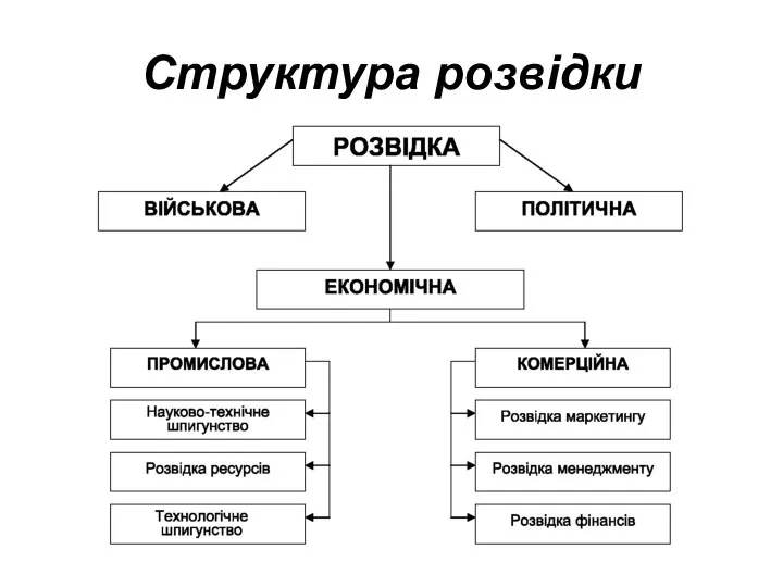 Структура розвідки