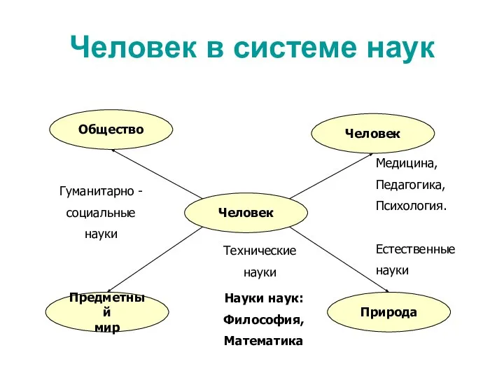 Человек в системе наук Человек Предметный мир Природа Общество Человек Гуманитарно