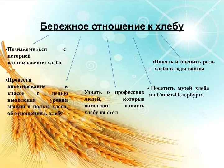 Бережное отношение к хлебу Познакомиться с историей возникновения хлеба Посетить музей