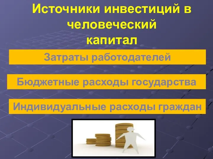 Источники инвестиций в человеческий капитал Бюджетные расходы государства Индивидуальные расходы граждан Затраты работодателей