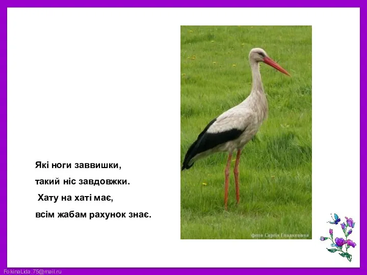 Які ноги заввишки, такий ніс завдовжки. Хату на хаті має, всім жабам рахунок знає.