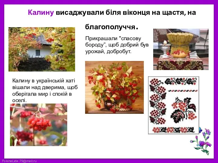 Калину висаджували біля віконця на щастя, на благополуччя. Калину в українській