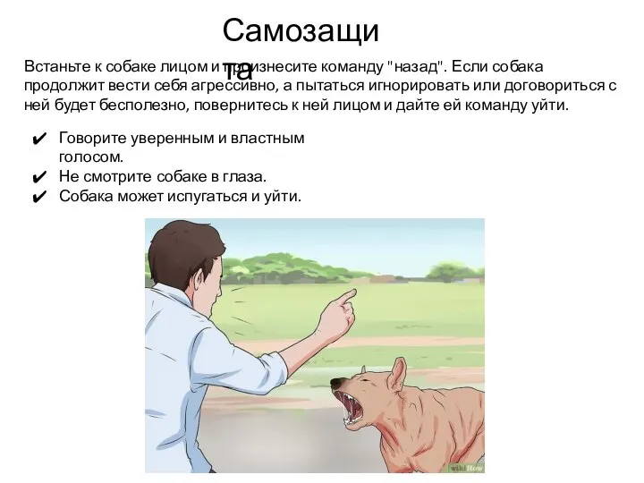 Самозащита Встаньте к собаке лицом и произнесите команду "назад". Если собака