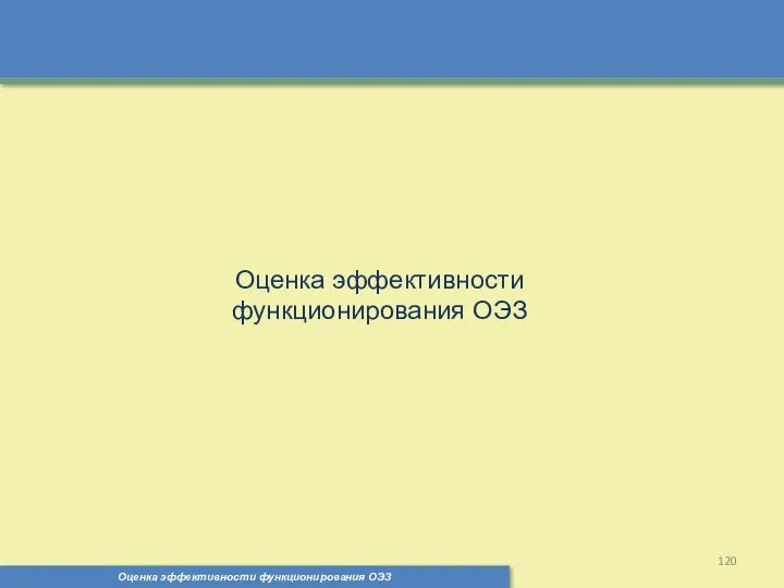 Оценка эффективности функционирования ОЭЗ Оценка эффективности функционирования ОЭЗ