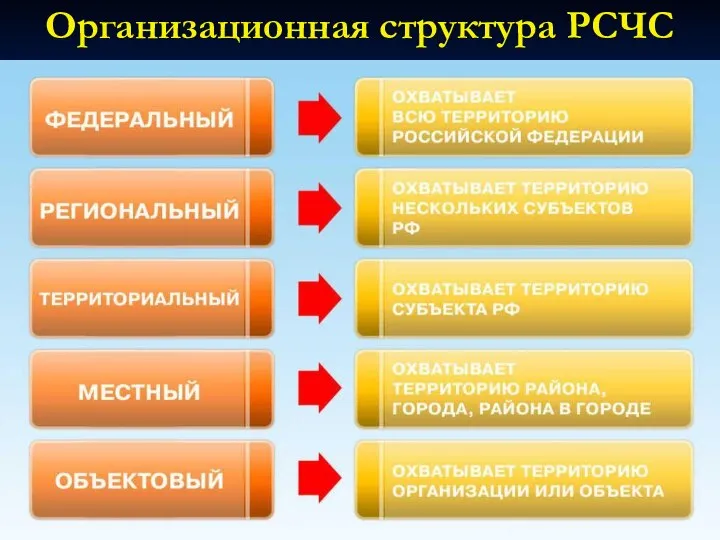 Организационная структура РСЧС