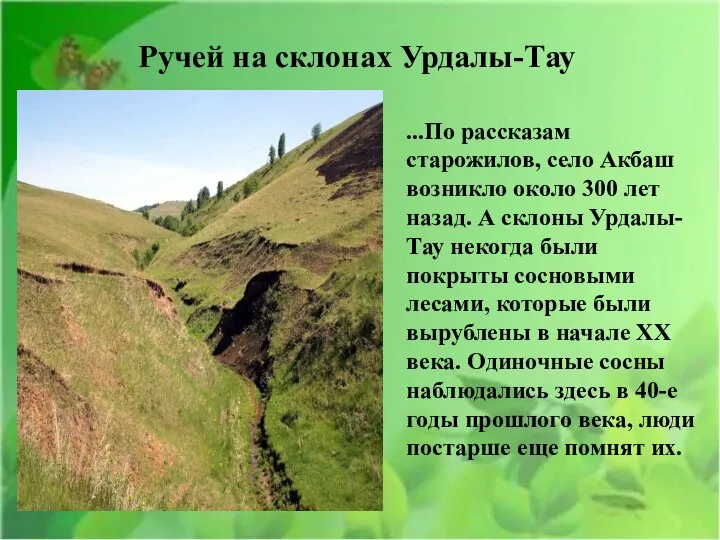 Ручей на склонах Урдалы-Тау ...По рассказам старожилов, село Акбаш возникло около