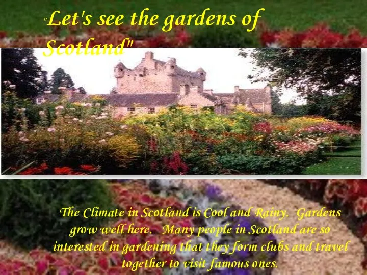 The Climate in Scotland is Cool and Rainy. Gardens grow well