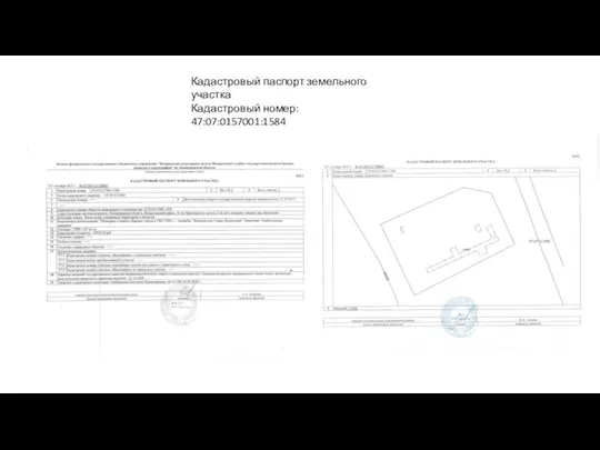 Кадастровый паспорт земельного участка Кадастровый номер: 47:07:0157001:1584