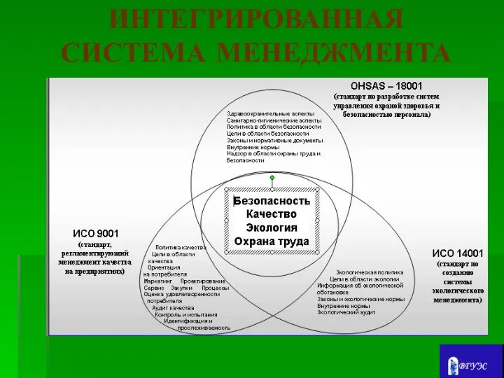 ИНТЕГРИРОВАННАЯ СИСТЕМА МЕНЕДЖМЕНТА