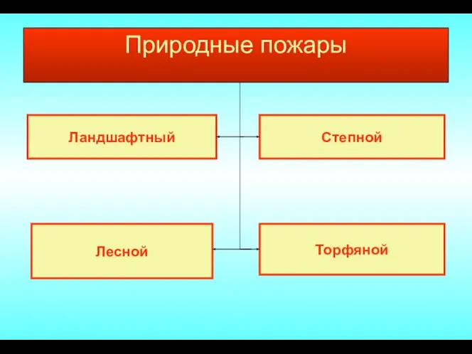 Природные пожары Ландшафтный Торфяной Степной Лесной