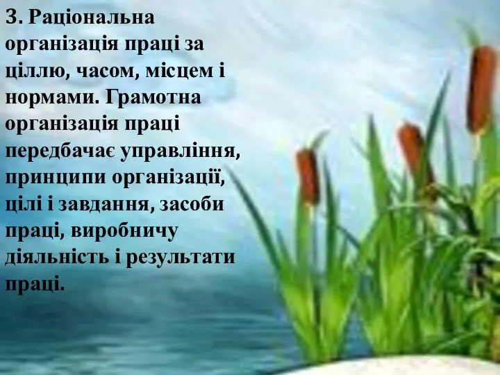 3. Раціональна організація праці за ціллю, часом, місцем і нормами. Грамотна