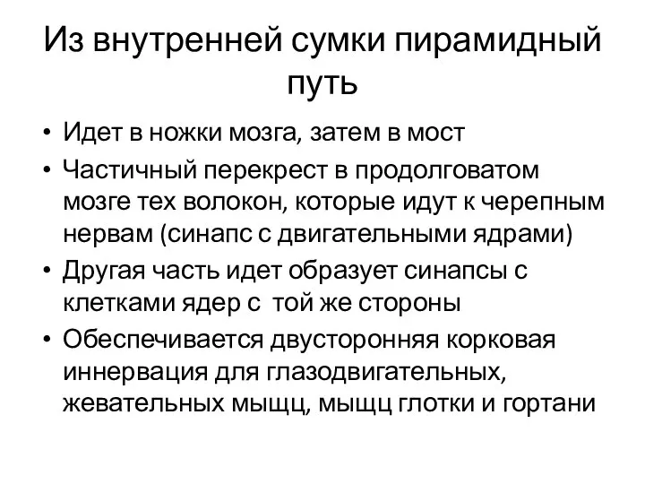 Из внутренней сумки пирамидный путь Идет в ножки мозга, затем в