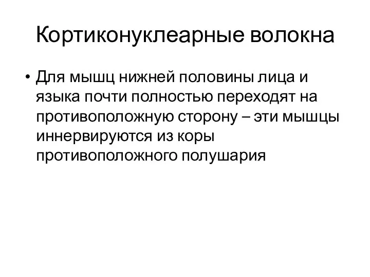 Кортиконуклеарные волокна Для мышц нижней половины лица и языка почти полностью