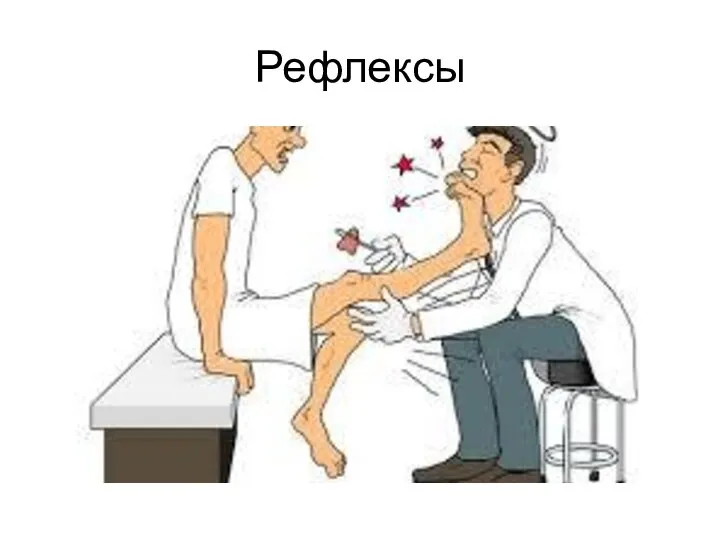 Рефлексы