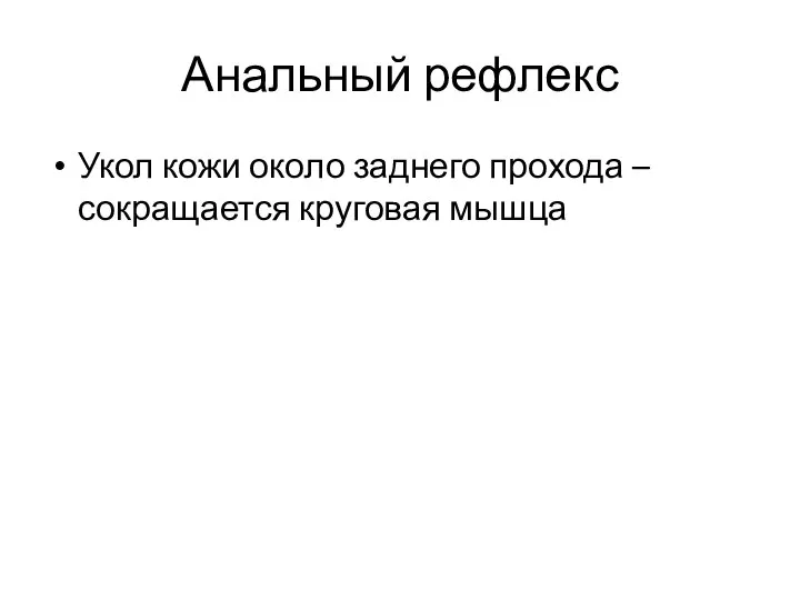 Анальный рефлекс Укол кожи около заднего прохода – сокращается круговая мышца