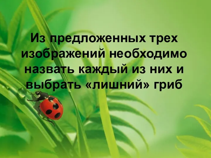 Из предложенных трех изображений необходимо назвать каждый из них и выбрать «лишний» гриб