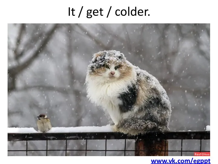 It / get / colder. www.vk.com/egppt