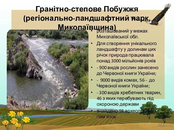 Гранітно-степове Побужжя (регіонально-ландшафтний парк, Миколаївщина) розташований у межах Миколаївської обл. Для