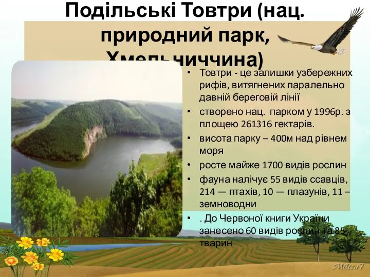 Подільські Товтри (нац. природний парк, Хмельниччина) Товтри - це залишки узбережних