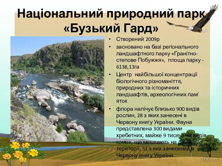 Національний природний парк «Бузький Гард» Створений 2009р засновано на базі регіонального