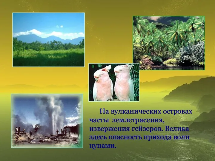 На вулканических островах часты землетрясения, извержения гейзеров. Велика здесь опасность прихода волн цунами.