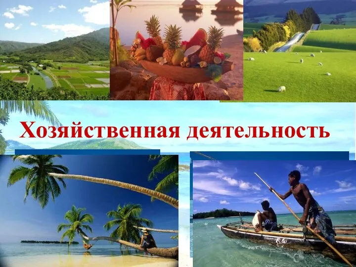 Хозяйственная деятельность