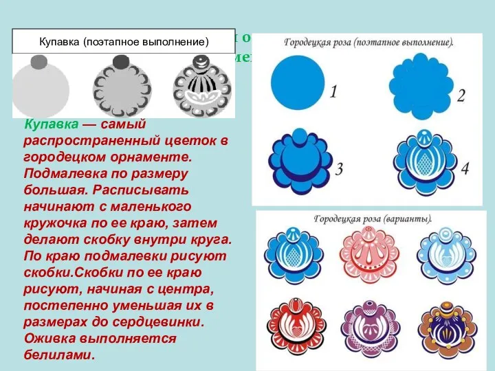 Техника изображения основных растительных элементов. Купавка — самый распространенный цветок в