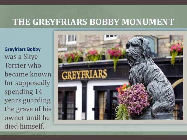 THE GREYFRIARS BOBBY MONUMENT Greyfriars Bobby was a Skye Terrier who