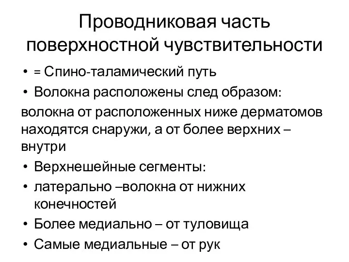 Проводниковая часть поверхностной чувствительности = Спино-таламический путь Волокна расположены след образом: