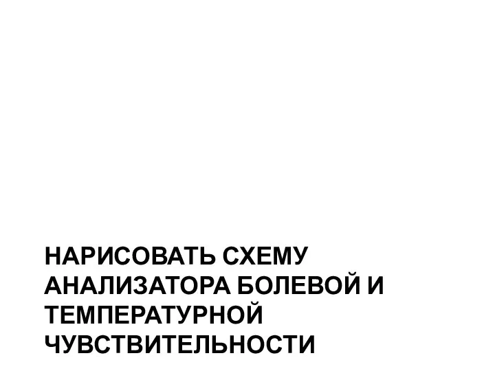 НАРИСОВАТЬ СХЕМУ АНАЛИЗАТОРА БОЛЕВОЙ И ТЕМПЕРАТУРНОЙ ЧУВСТВИТЕЛЬНОСТИ