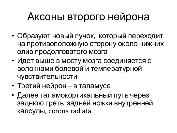 Аксоны второго нейрона Образуют новый пучок, который переходит на противоположную сторону