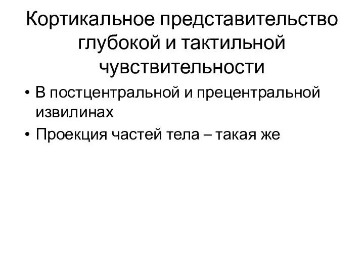 Кортикальное представительство глубокой и тактильной чувствительности В постцентральной и прецентральной извилинах