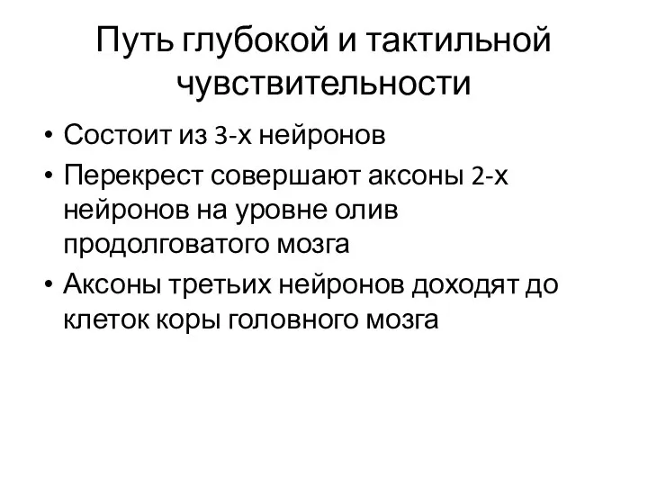 Путь глубокой и тактильной чувствительности Состоит из 3-х нейронов Перекрест совершают