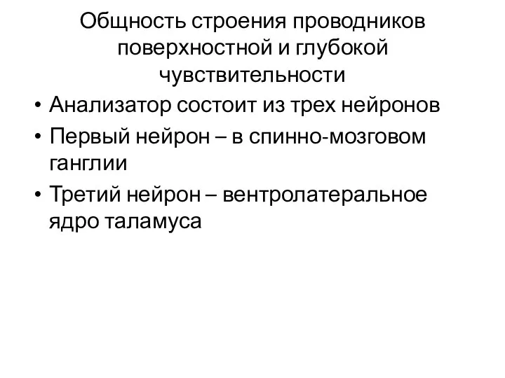 Общность строения проводников поверхностной и глубокой чувствительности Анализатор состоит из трех