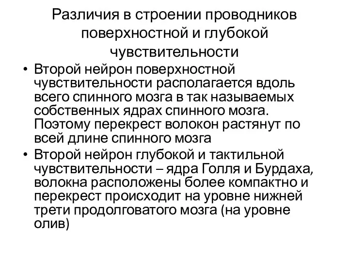 Различия в строении проводников поверхностной и глубокой чувствительности Второй нейрон поверхностной