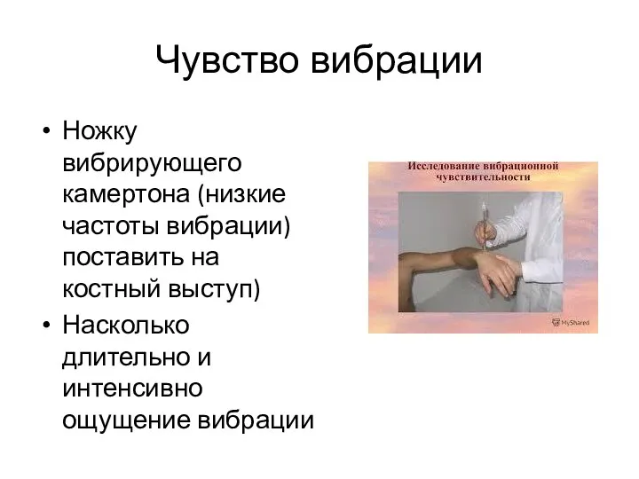 Чувство вибрации Ножку вибрирующего камертона (низкие частоты вибрации) поставить на костный