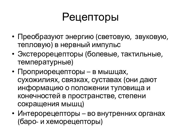 Рецепторы Преобразуют энергию (световую, звуковую, тепловую) в нервный импульс Экстерорецепторы (болевые,