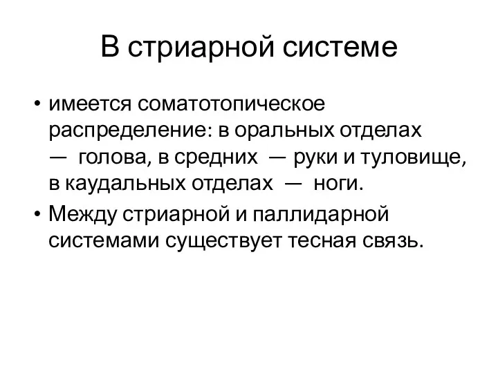 В стриарной системе имеется соматотопическое распределение: в оральных отделах — голова,