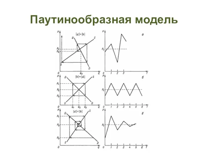 Паутинообразная модель